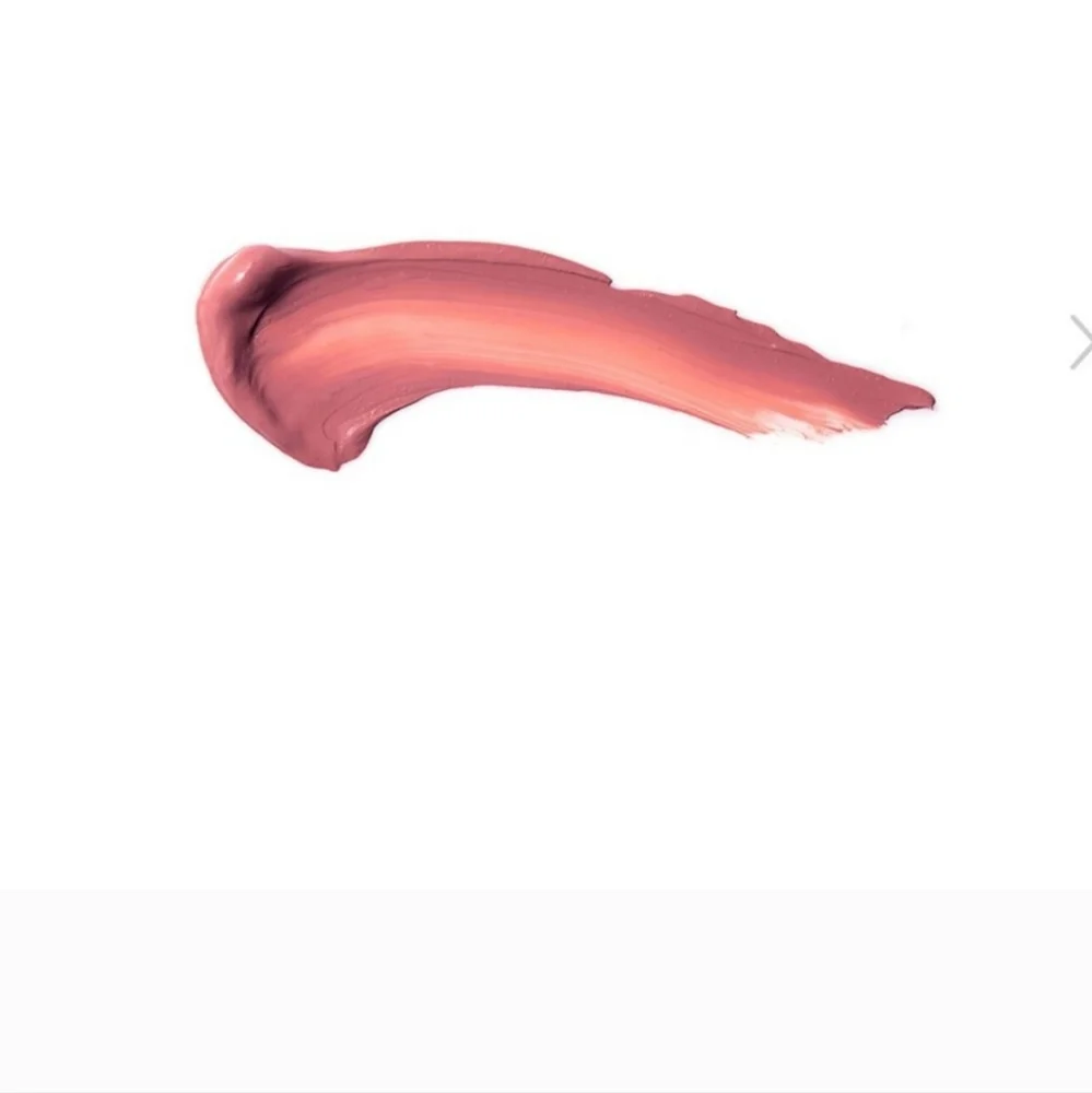 💥💥Host pick 💥💥Anastasia Beverly Hills Lipstick and Lip Gloss Duo Crus